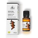 Guía completa sobre el aceite esencial terpenic: análisis y beneficios en la parafarmacia Guía completa sobre el aceite esencial terpenic: análisis y beneficios en la parafarmacia