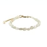 Descubre el Agua Kangen 9.5: Análisis de Precio y Beneficios en Parafarmacia