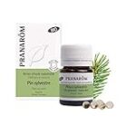 Yemas de pino: descubre todas sus propiedades para el cuidado de la piel en parafarmacia