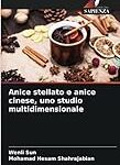 Descubre los beneficios del anís estrellado en la parafarmacia: análisis y explicación de sus propiedades