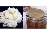 Guía completa para comprar kombucha hongo: beneficios y análisis en la parafarmacia