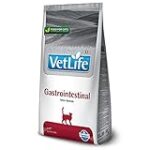 Mejores productos de parafarmacia gastrointestinal para la salud de tu mascota: VET life en detalle