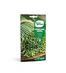 Descubre los productos de parafarmacia de calidad en Eurogarden Store: Análisis, explicación y ventajas