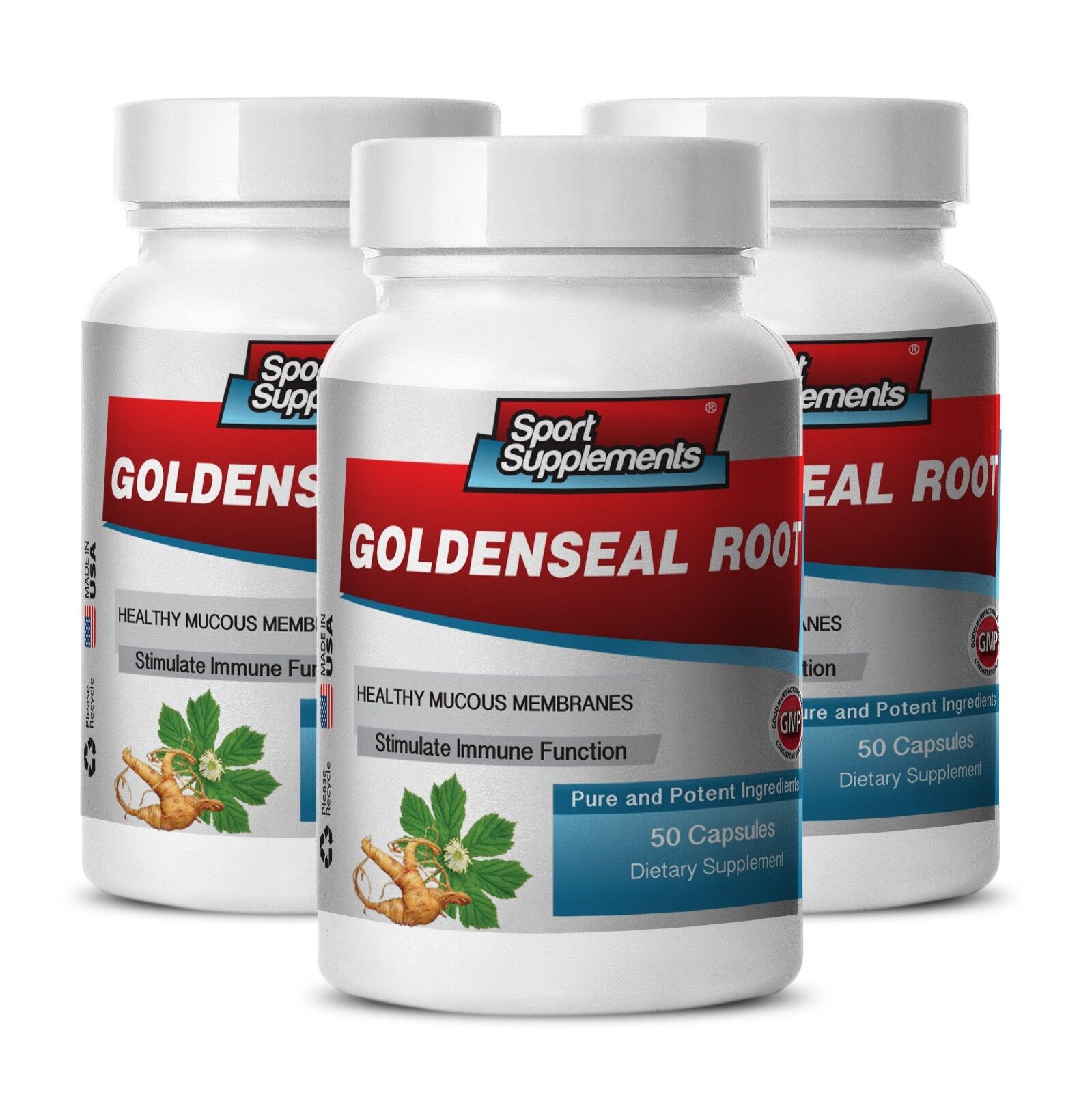 Goldenseal Dog - Goldenseal Root Hydrastis 520 mg - Propiedades antimicrobianas 3B