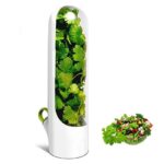 Beneficios de las Hierbas Frescas en la Parafarmacia: Análisis Detallado