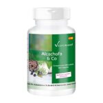 Beneficios y Usos del Extracto de Alcachofa en Parafarmacia: Todo lo que Necesitas Saber Beneficios y Usos del Extracto de Alcachofa en Parafarmacia: Todo lo que Necesitas Saber